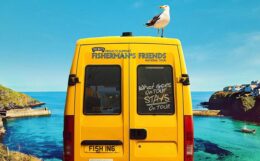 A yellow van is viewed from behind with a seagull perched on the top
