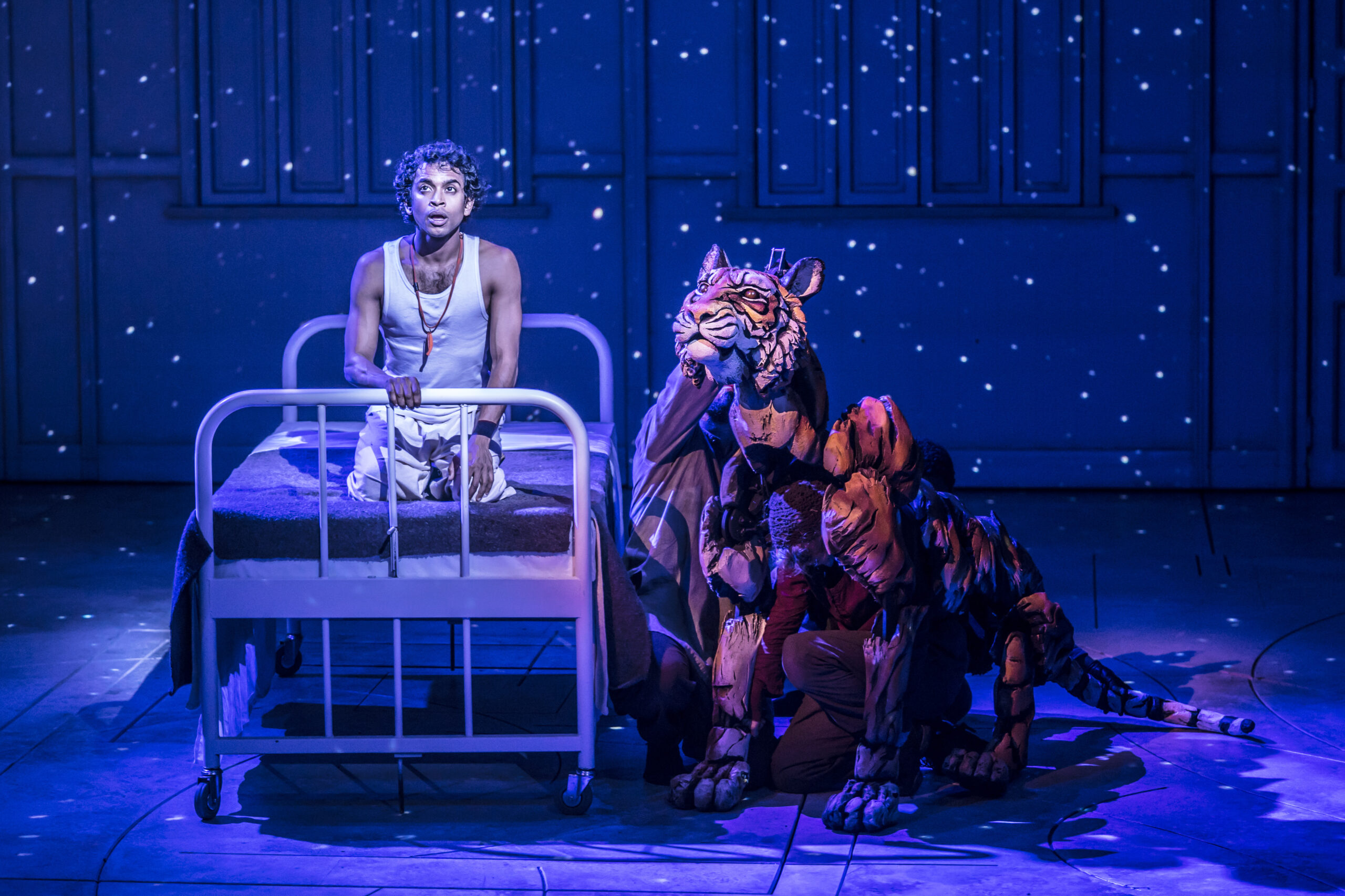 National Theatre Live: Life of Pi (12A)