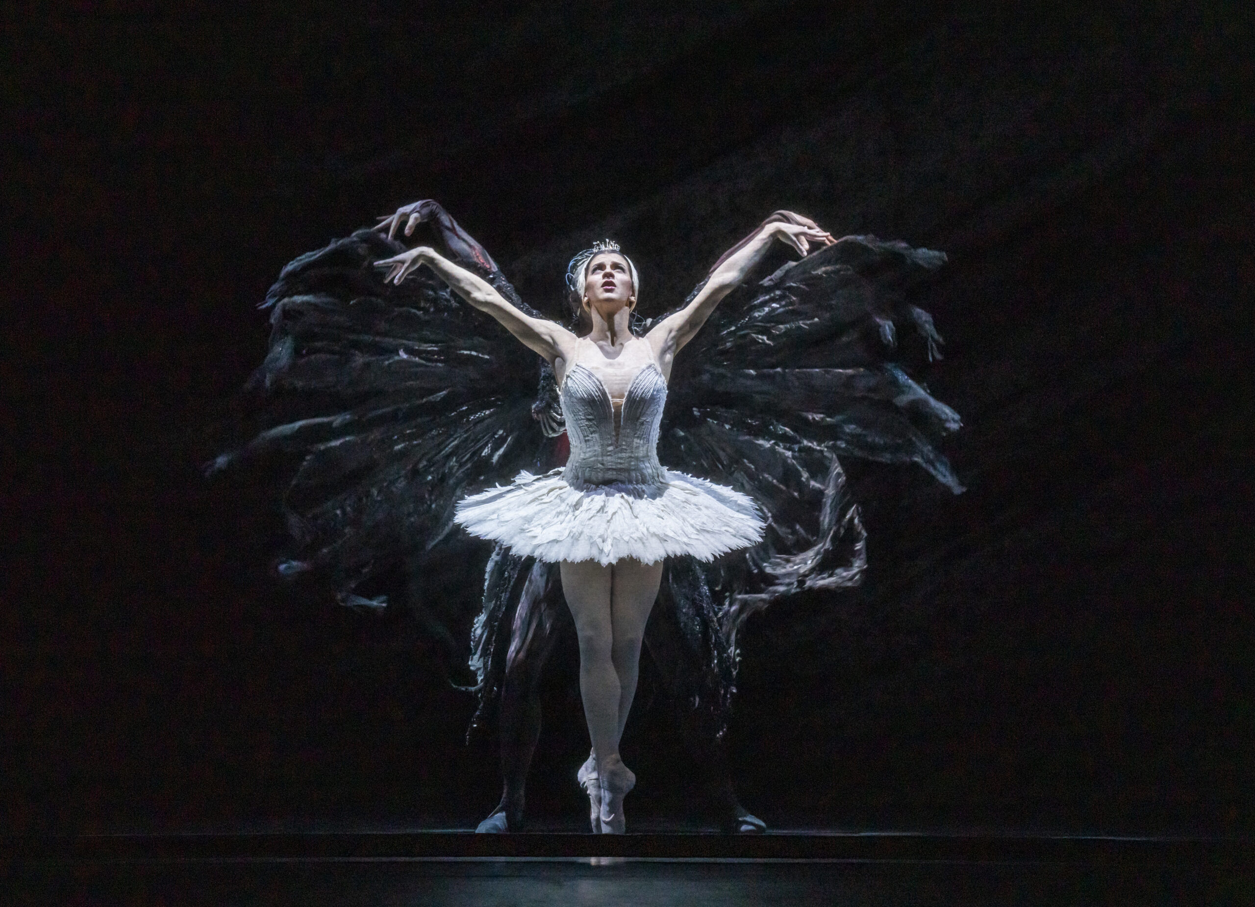 ROH Live: Swan Lake (12A)