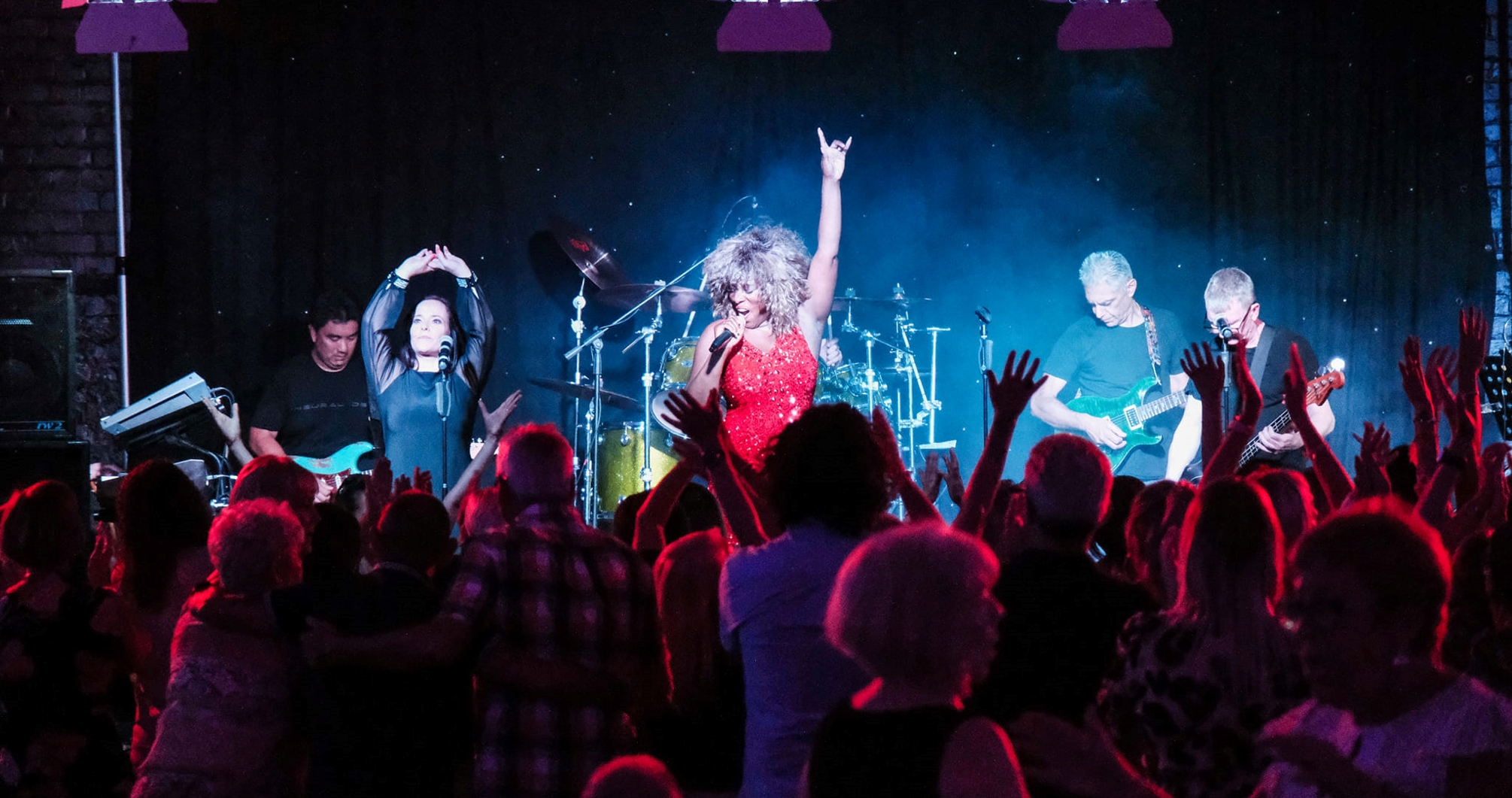 Tina Turner Ultimate Tribute with Sass brown