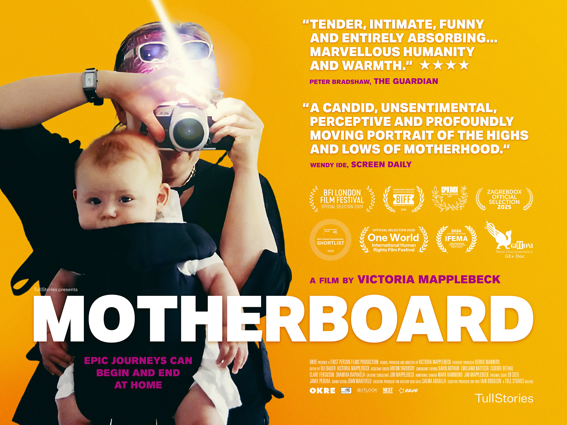 Motherboard (15)