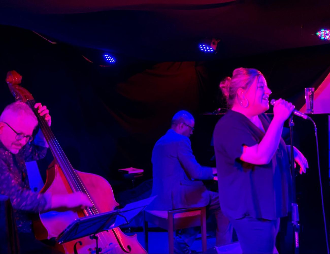 Bonington Jazz Company… Frankie Tavoni (In the Bar!)
